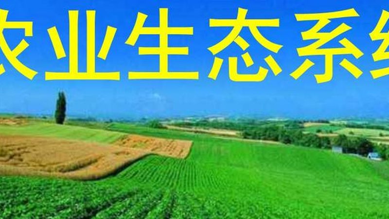 有机农业种植操作流程：从土壤到餐桌的绿色之旅