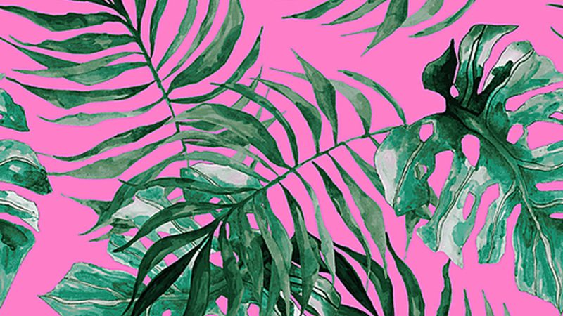 精准计算，科学种植：种植地块面积计算方法解析**