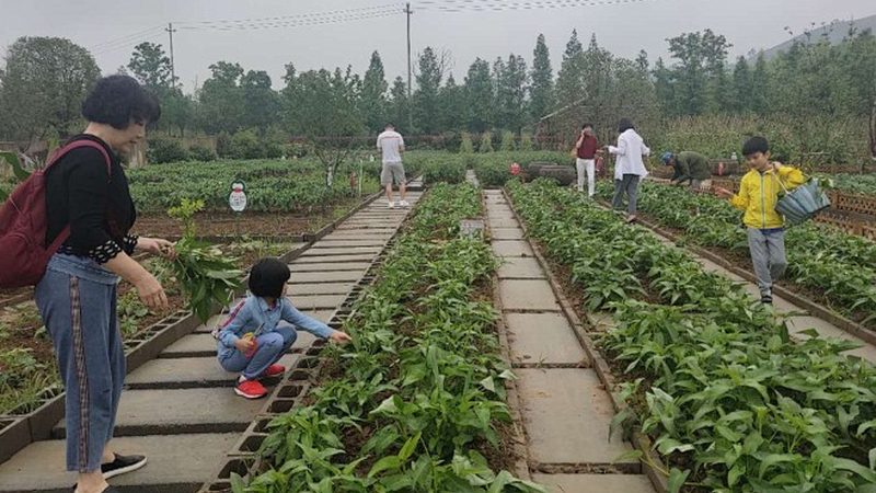 设施农业灌溉系统：使用中的五大关键注意事项