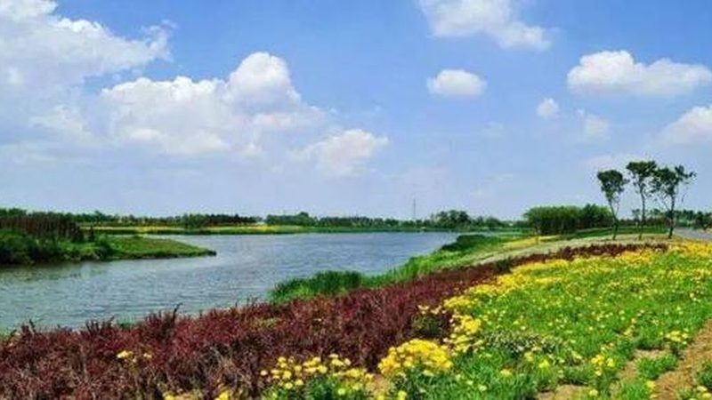 果蔬配送报价单格式：Word文档中的关键要素解析