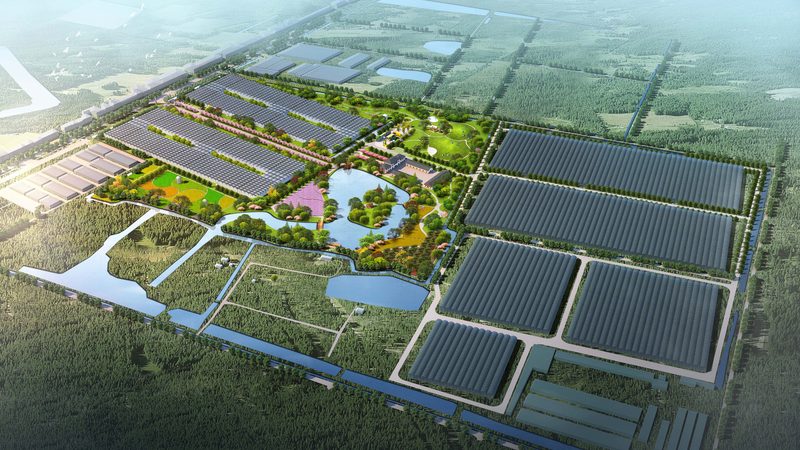 水果种植合作社年收入受天气影响大吗