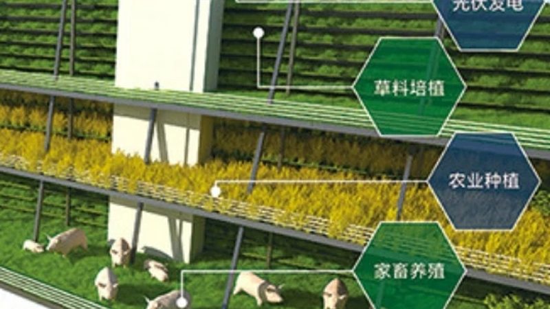 校园食堂果蔬配送系统上手实操：从登录到签收的全流程拆解