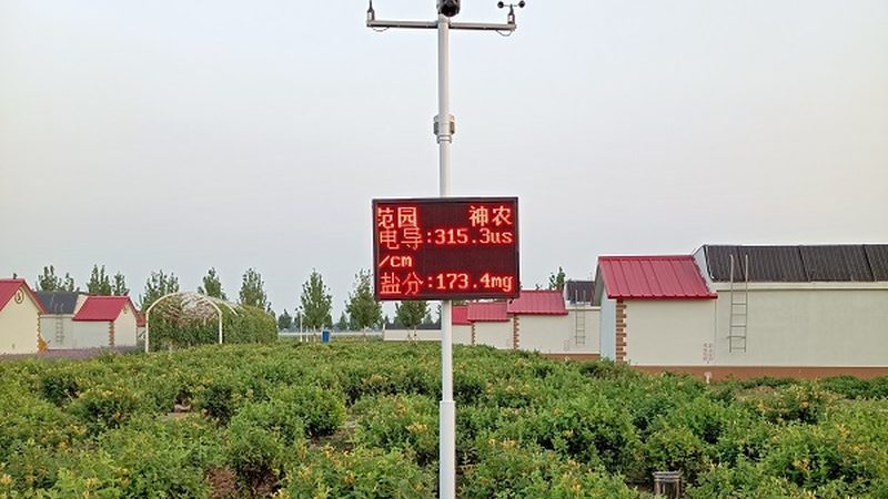 盆栽水果种植温度要求