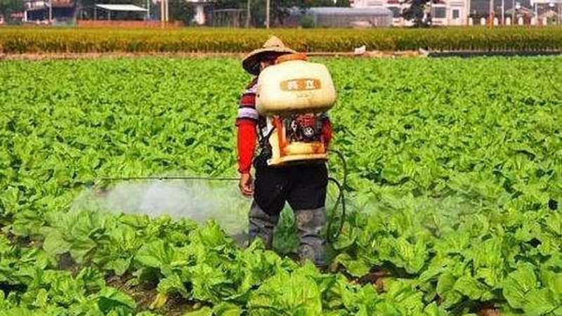智能灌溉牌子的选择陷阱：看懂参数比看品牌更重要