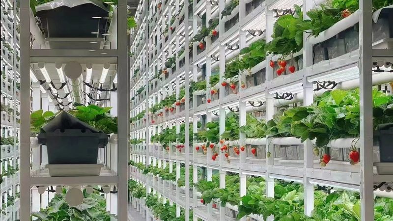 休闲农业园区设计报价，为什么总比预期高出一截
