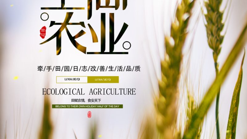 水果种植品牌价格报价单